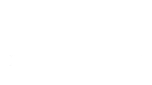 Rocco forte Knights