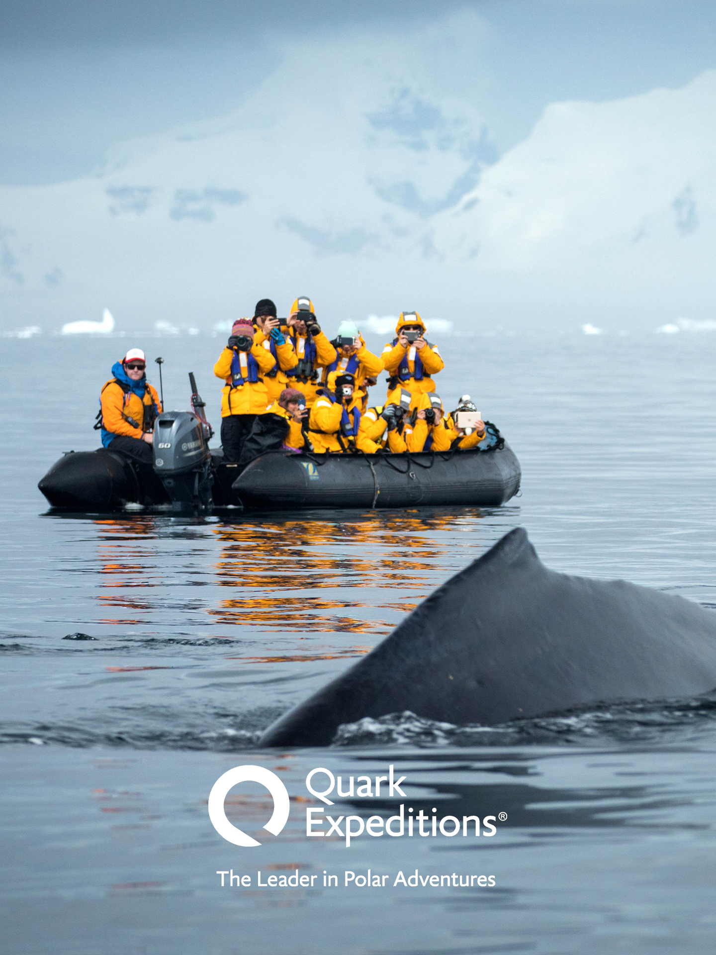 Video Quark Expeditions