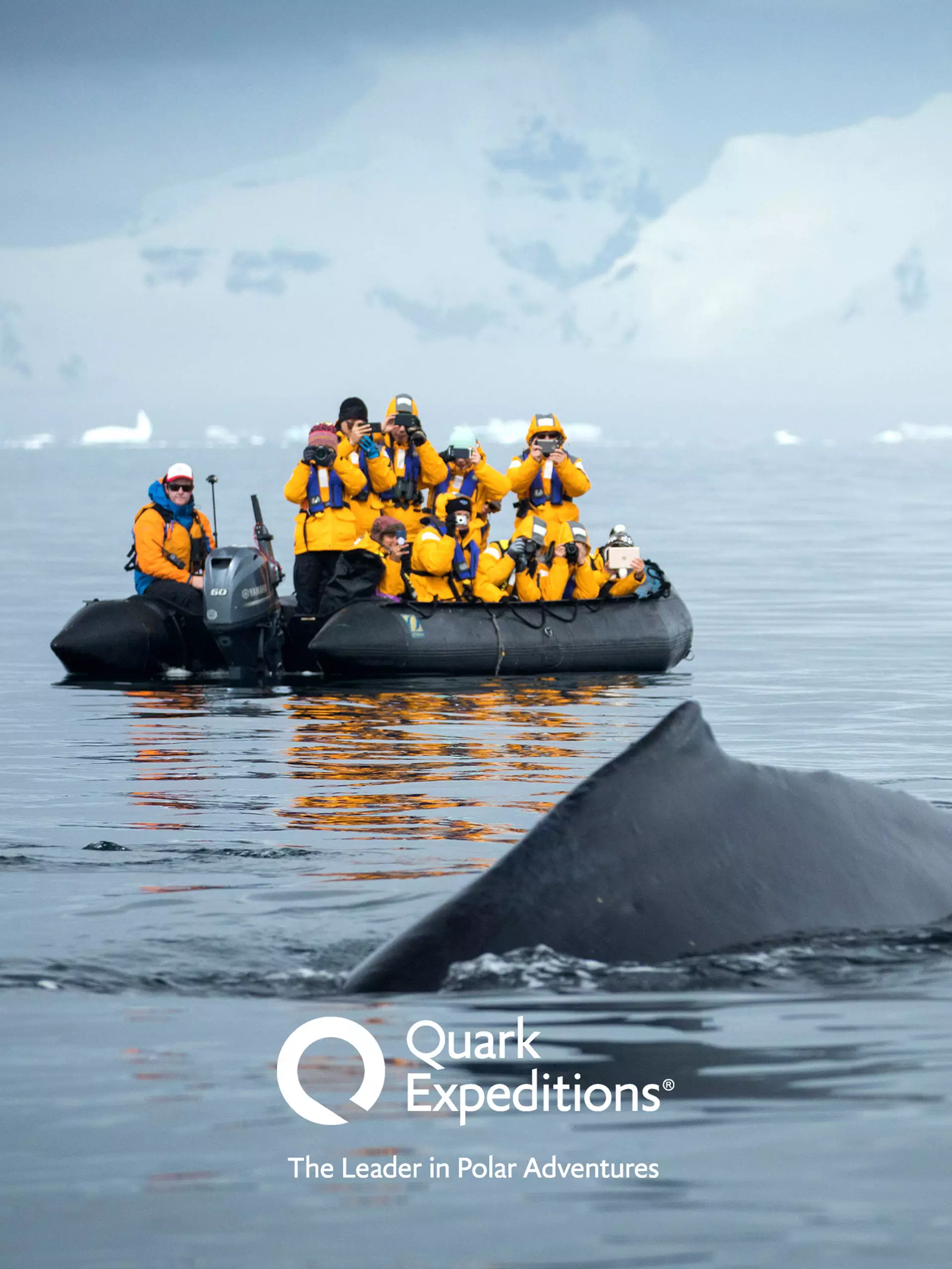 Gruppe von Reisenden in gelben Jacken auf Schlauchboot beobachtet und fotografiert einen Wal in arktischer Polarlandschaft